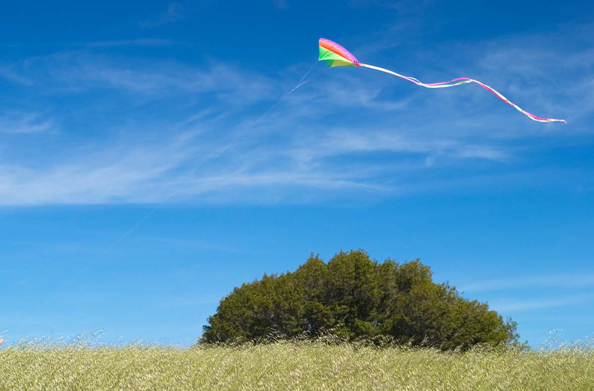 Go Fly A Kite: An Airborne Education on How to Communicate - Mo Barrett -  New Thinking